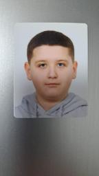Luka Domitrović